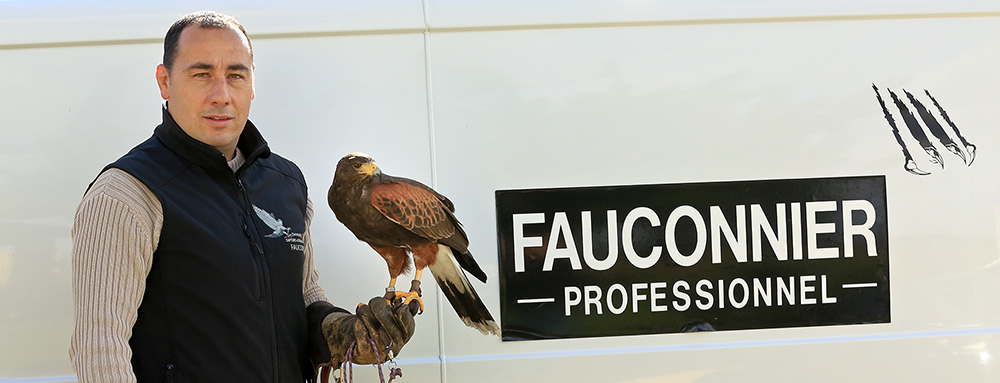 Fauconnerie - Laboratoires Sanofi Pasteur 